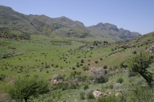 Panoramica interna della Riserva di Pizzo Cane  